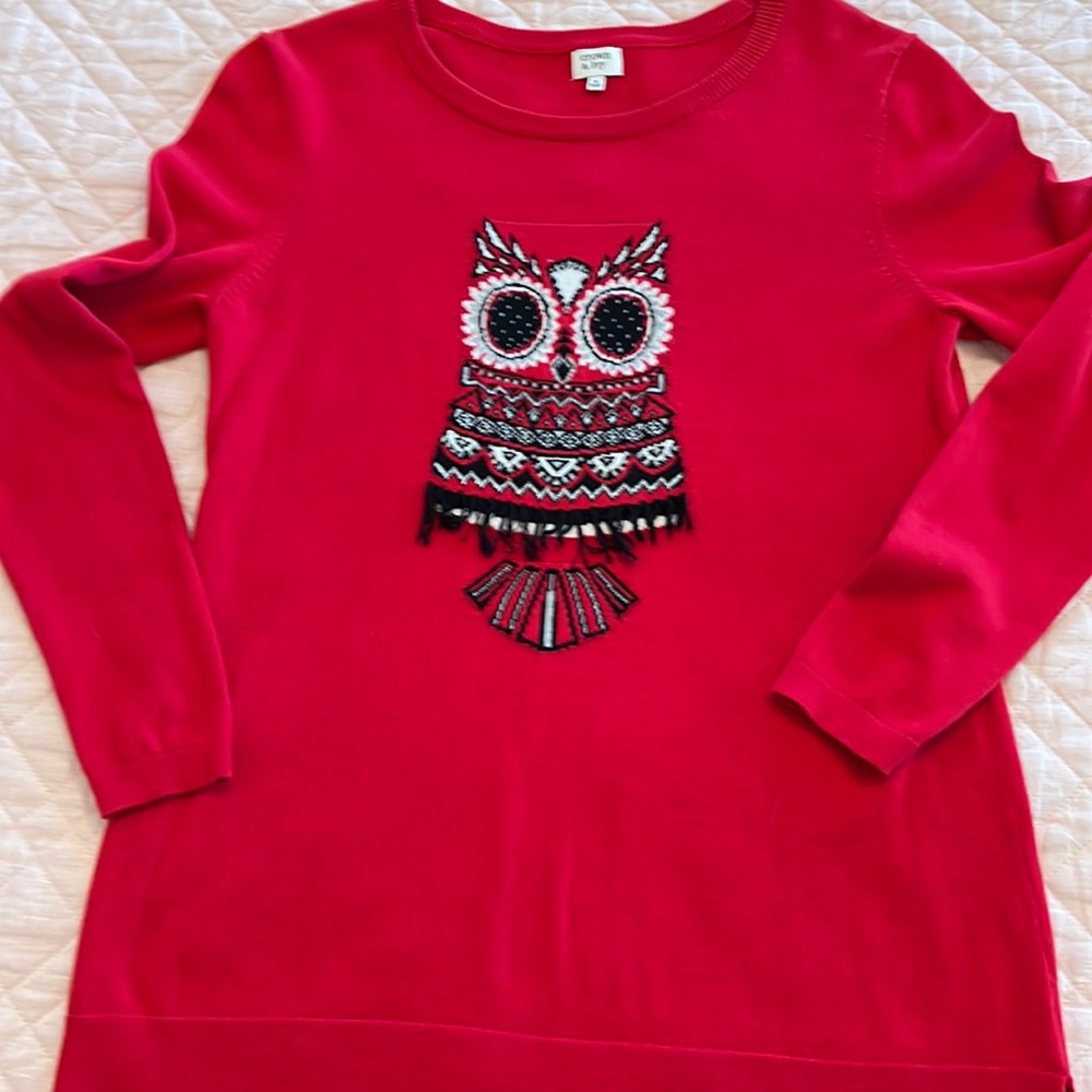 CROWN and IVY Owl Sweater - Size Small